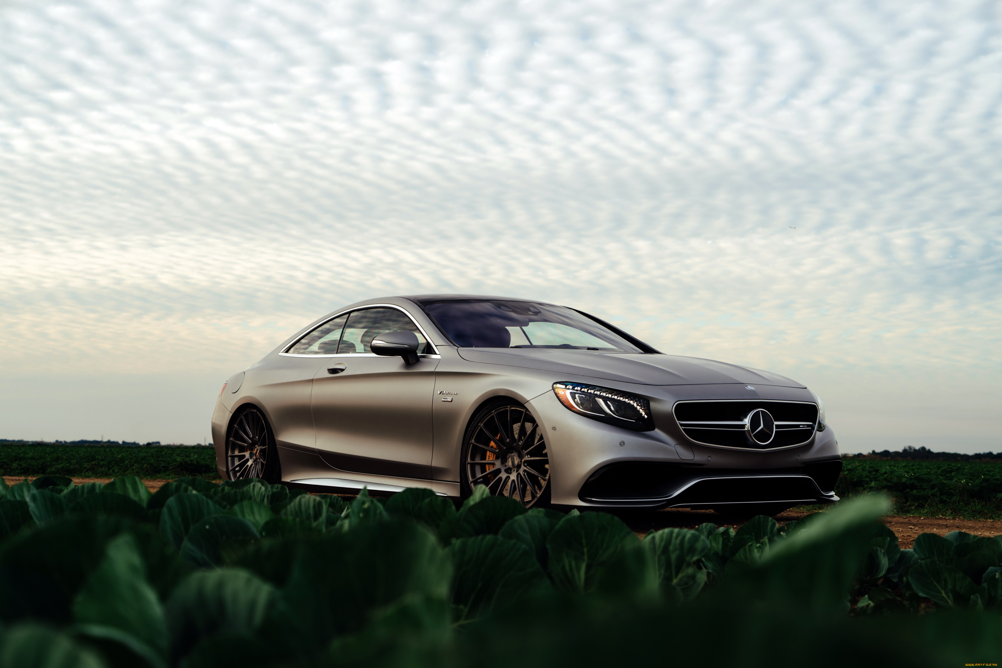 , mercedes-benz, mercedes